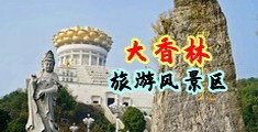 日骚逼视屏中国浙江-绍兴大香林旅游风景区